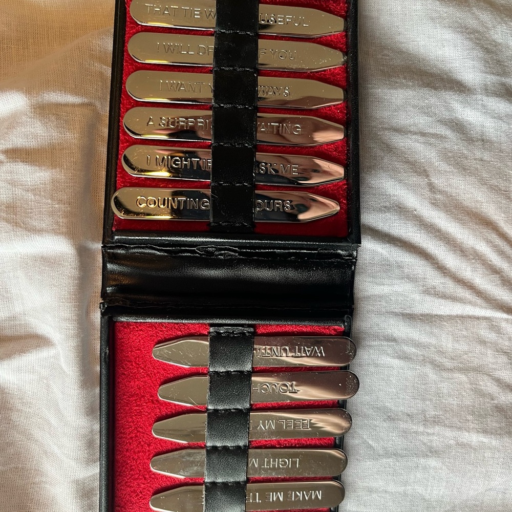 Silver Collar Stays Set in Black Case
